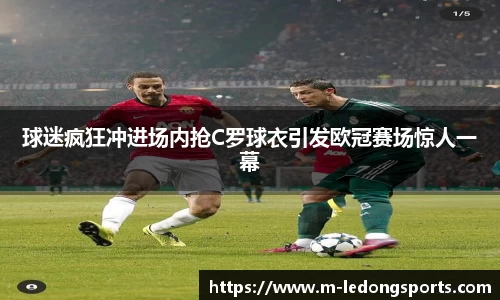 LD乐动