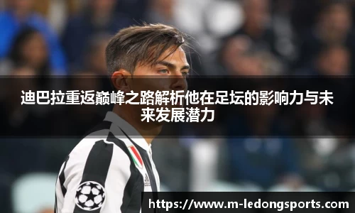 LD乐动