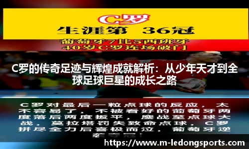 LD乐动官网